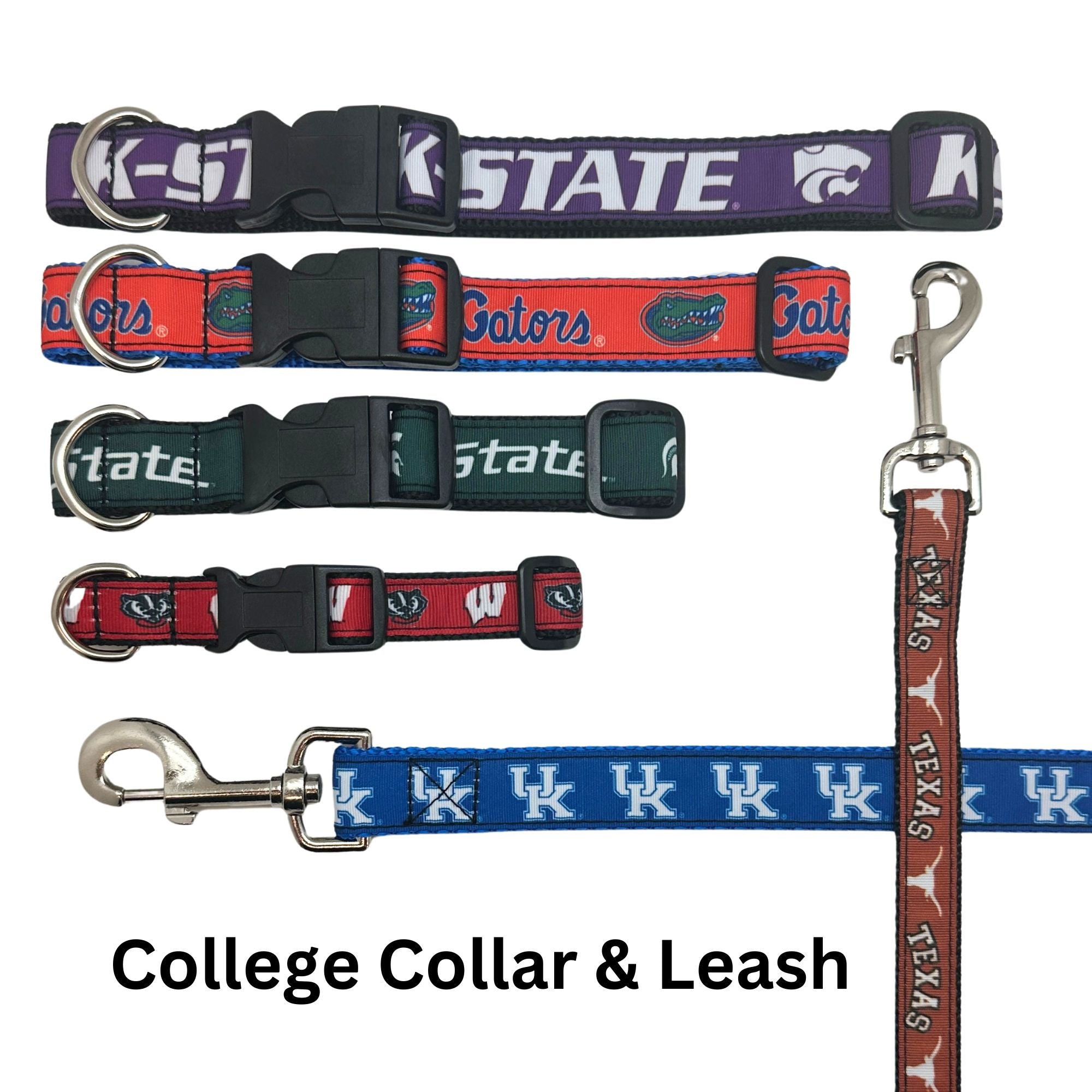 Michigan State Dog Leash & Collars