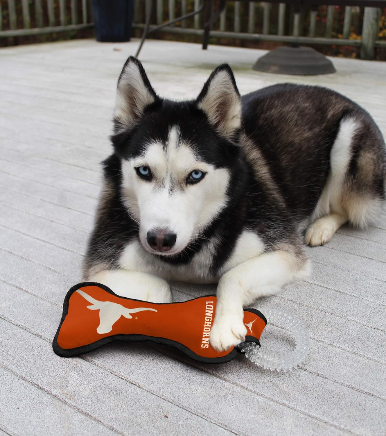 Texas Dental Tug Toy