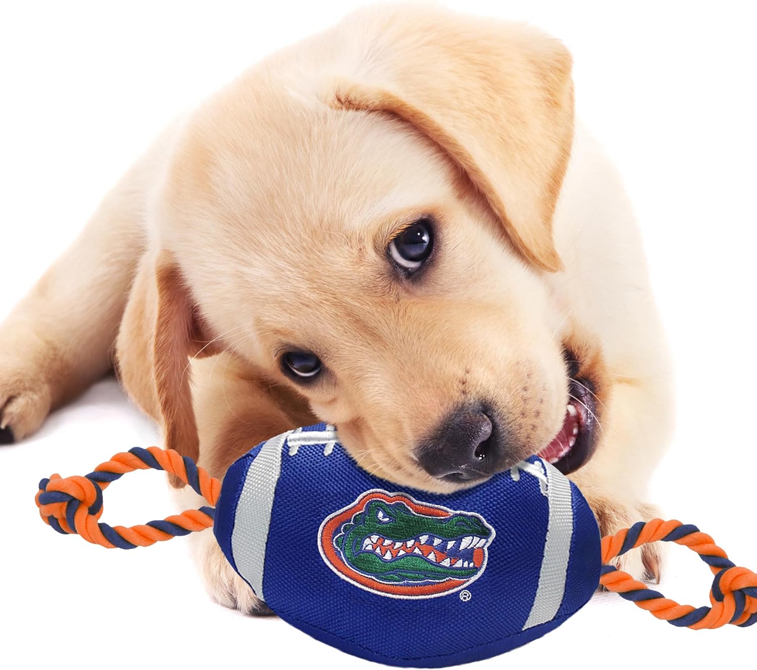 Florida Gators Nylon Football Tug Toy