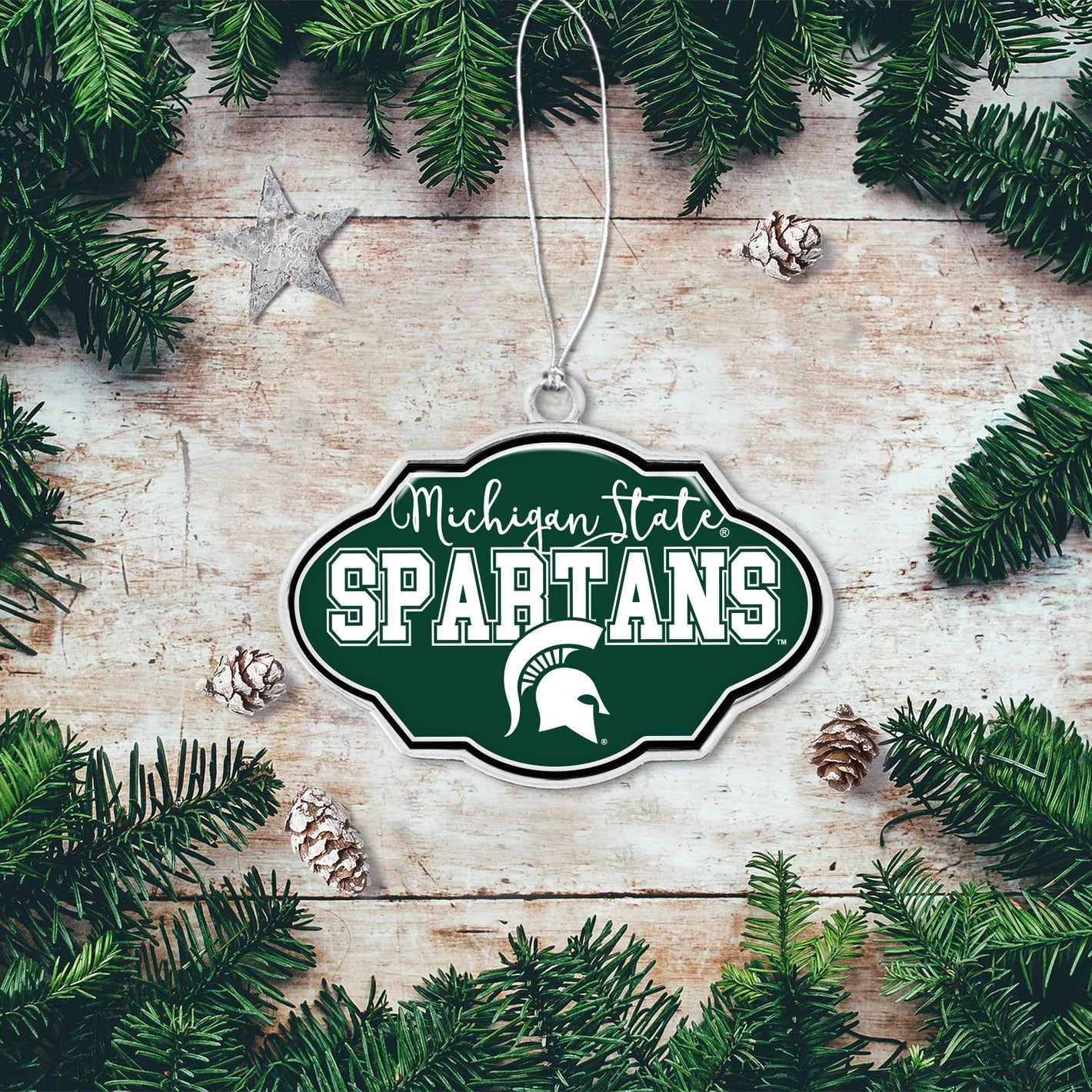 MICHIGAN STATE Spartans Ornament Frame