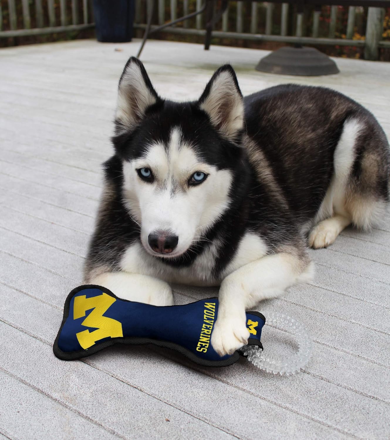 Michigan Dental Tug Toy